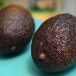 avocado, photo by Jenny MacBeth