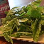 diced tomatoes, basil, garlic, cream cheese, photo by Jenny MacBeth