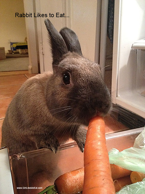 Rabbit Likes to Eat